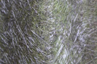 North Widcombe fibreglass roof work